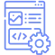 custom software development