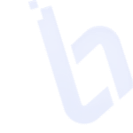 custom software development